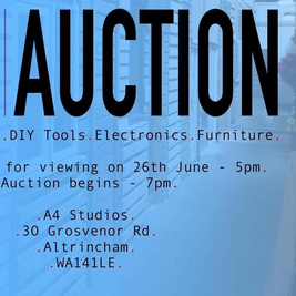 Auction fundraiser