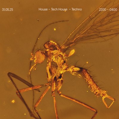 Saturdays at Amber's: House | Tech House | Techno