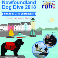 Newfoundland Dog Dive at Portishead Quays Marina Newfoundland Way Portishead Br