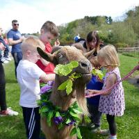 Brilliant Beltane at Almond Valley Heritage Trust