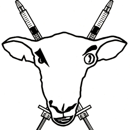Sheep On Drugs