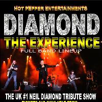 Diamond The Experience
