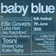 Baby Blue Folk festival
