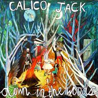 The Barge Inn Presents: Calico Jack £5 at The Barge Inn
