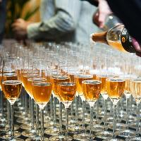 Care to Taste: Starfish Charitable Wine Tasting Event