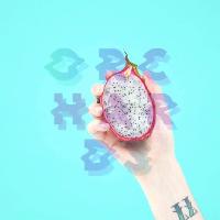 Orchards at Stereo