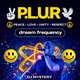 PLUR (peace, love, unity, respect) Event Title Pic