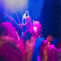 A tribute to sir elton john at The Genesis Center