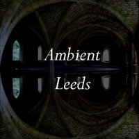 Ambient Leeds: Giulio Stermieri /Ben Gaunt /namke communications at The Fox And Newt