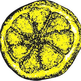 Resurrection Stone Roses Tribute