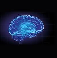 Brain Zone