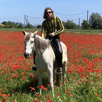 PARTIBOI69, SHAMPAIN, MILEY SERIOUS, JUICY ROMANCE & MORE at Hidden