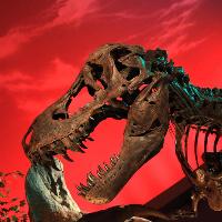 Last Day of the Dinosaurs