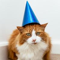 The Sewer Cats & Banned Name Free Gig
