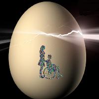 A Day in the Death of Joe Egg