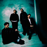 Corella at The Ferret