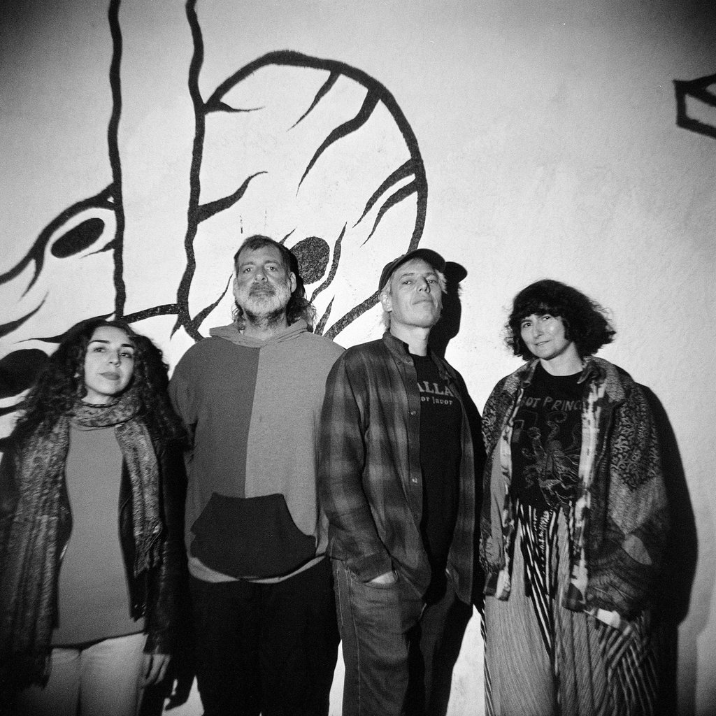 Jeffrey Lewis & the Voltage at The Castle And Falcon, Birmingham