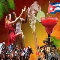 Cuban Night