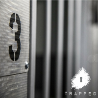 Trapped in a Prison Van: An Immersive Escape Game