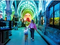 Midweek Madness at Sea Life Centre