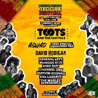 The Milton Keynes Reggae Festival at Campbell Park