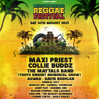 The Milton Keynes Reggae Festival The Milton Keynes Reggae Festival