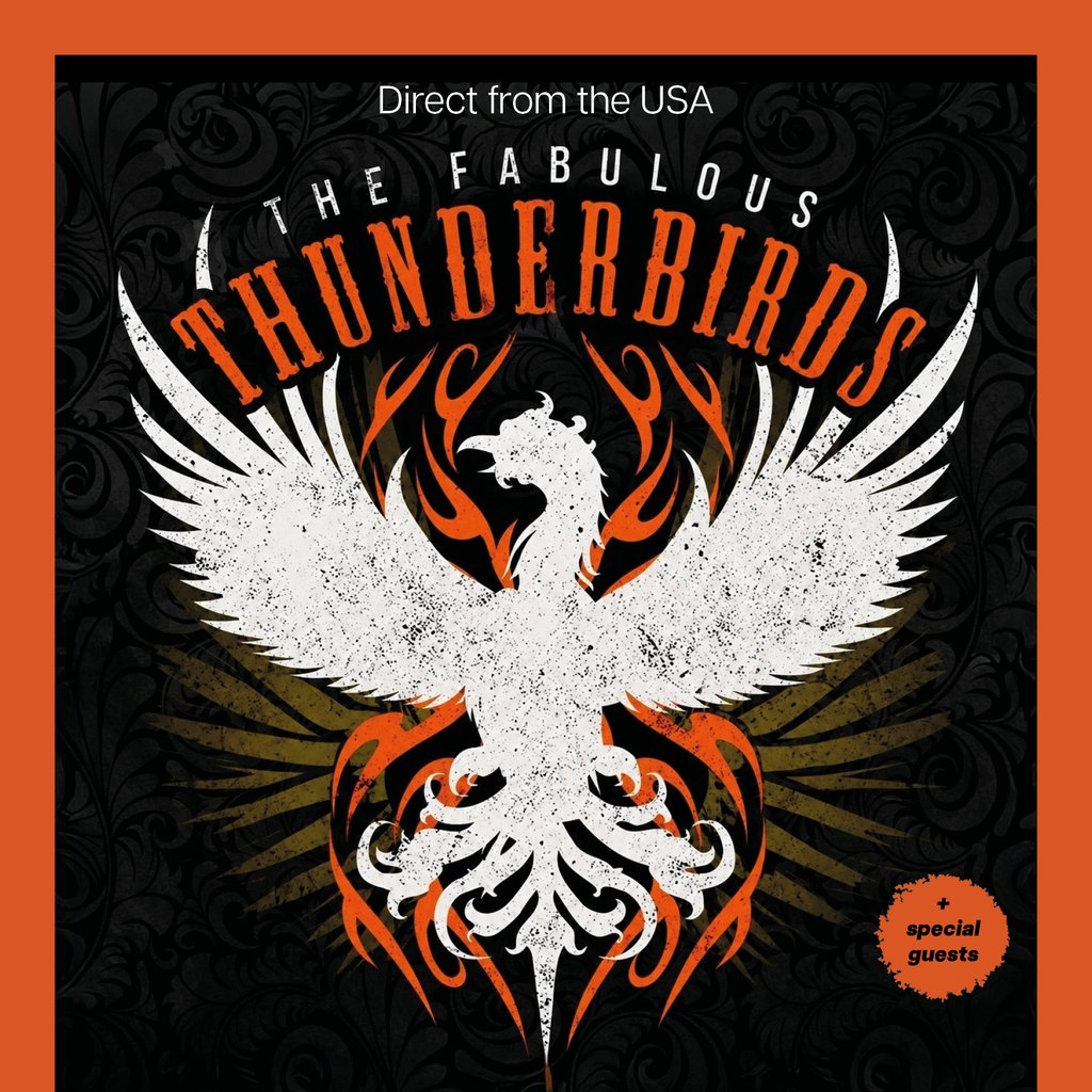 The Fabulous Thunderbirds Image
