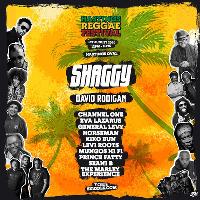 Hastings Reggae Festival 2020 Hastings Reggae Festival 2020