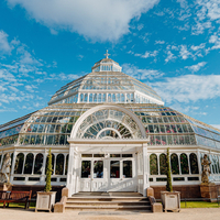 Christmas Party in the Palm House with Michael bublé (Tribute) at Palm House Sefton Park