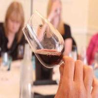 Wine Tasting Experience Day