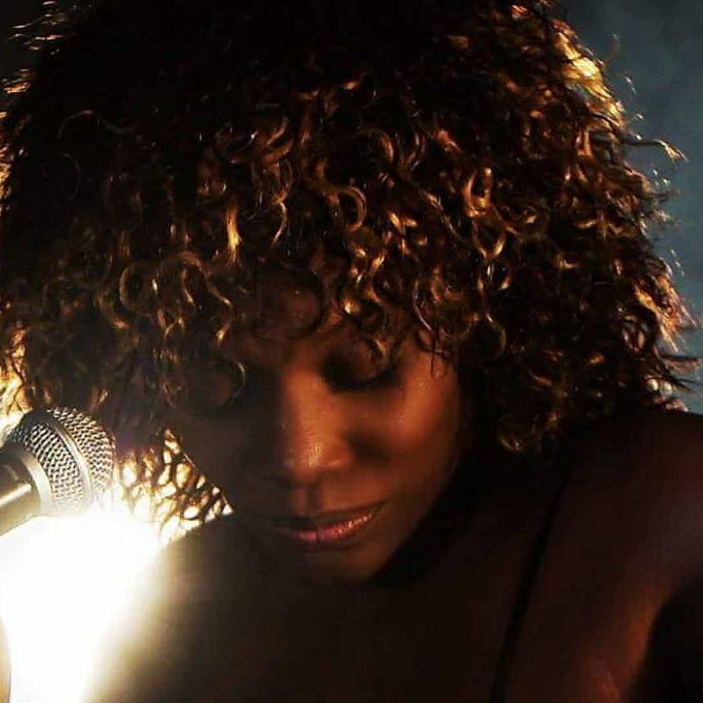 Tina Turner Tribute Night - Stourport
