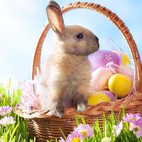 Family Easter Party & Easter Egg Hunt