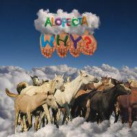 Why? performing Alopecia in full Why? performing Alopecia in full