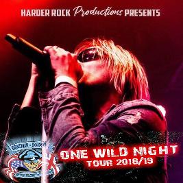 Bon Jovi Forever V The UK Rock Show