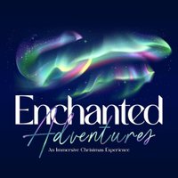 The Enchanted Adventures - Himley Hall Christmas Light Trail at Himley Hall
