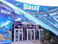 Sea Life Birmingham + Warwick Castle + Cadbury World at Sea Life 