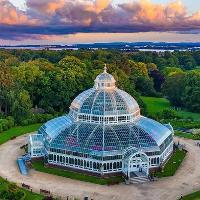 Disco in the Park at Palm House Sefton Park