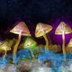 The Science of Psychedelics with Dr David Luke Event Title Pic