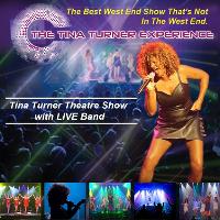 The Tina Turner Experience