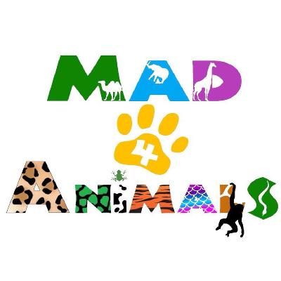 Mad4Animals - Interactive Zoological Show (Morning Show)
