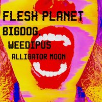 Flesh Planet &amp; Friends Live @ The Key Club