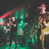 The Dunts
