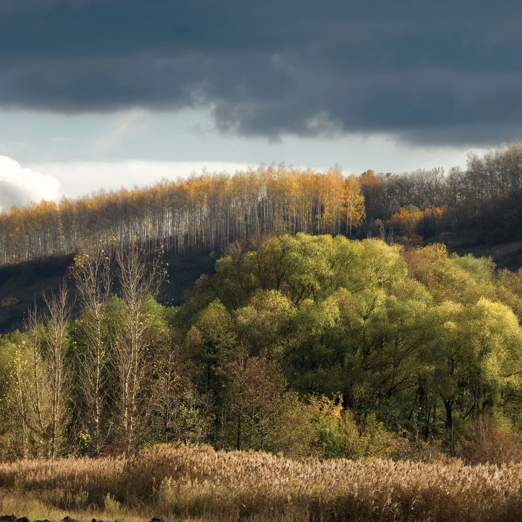 A Splash of Colour Photography Exhibition