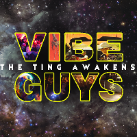 Vibe guys birthday at Amusement 13