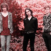 Strange Cages / Dan Lyons / Mango 5.3.20