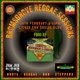 Bromsgrove Reggae Sessions Event Title Pic