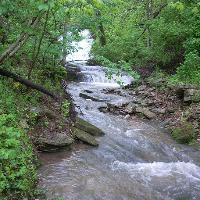 Party on the Creek