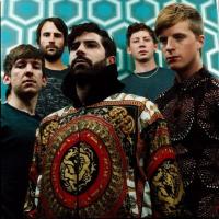 Foals Foals