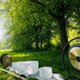 Sunset Sefton Park Meditation & Sound Healing Event Title Pic