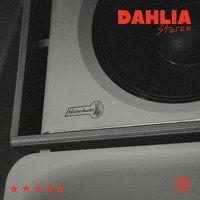 DAHLIA Stereo Sessions: Test the Sound at Dahlia Stereo